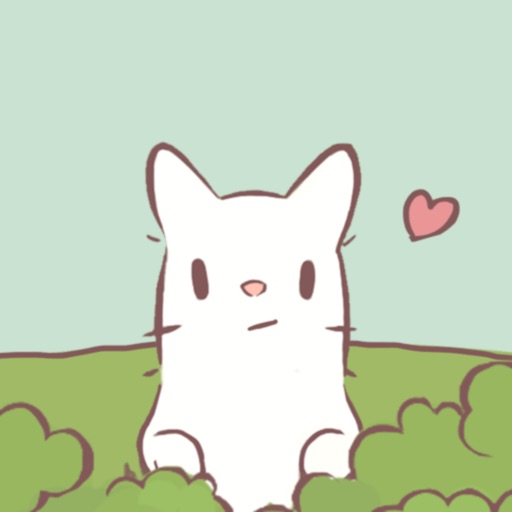 CatsSoup